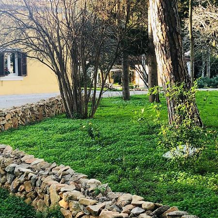 Villa In Salento Lecce Exterior photo